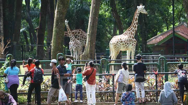 ragunan